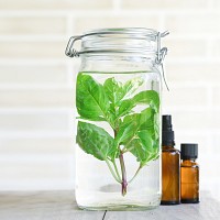 DIY: Spray βασιλικού