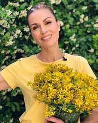 St John's wort oil: The oil of the sun